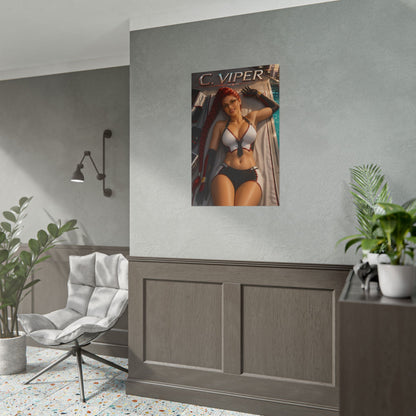 Gaming Wall Art C Viper Street Fighter Poster Bedroom Game Room Decor Art Print