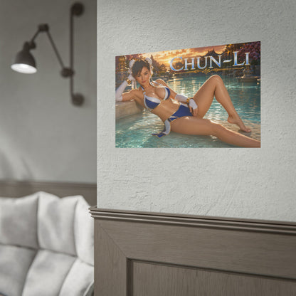 Chun Li Gaming Poster Wall Art Gamer Room Decor Collectible Print