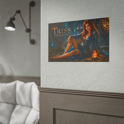 Collector Fantasy Wall Art Triss Merigold The Witcher Character Poster Room Gift