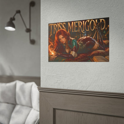 Triss Merigold The Witcher Wall Art Poster Gaming Decor Collectible Gamer Gift